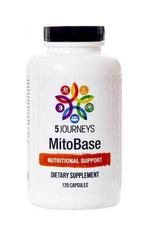 MitoBase